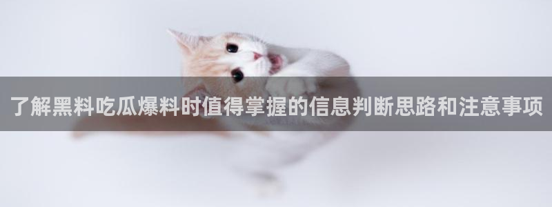 吃瓜大赛
