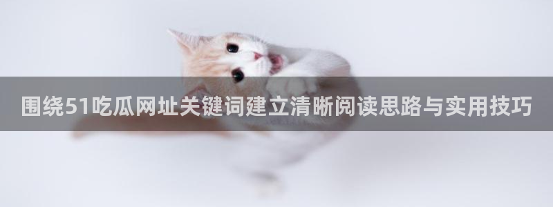 51吃瓜网站入口