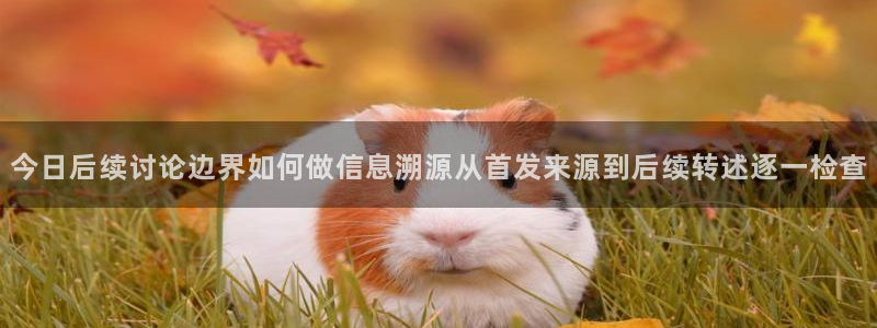 17吃瓜：今日后续讨论边界如何做信息溯源从首发来源到后续转述逐一检查