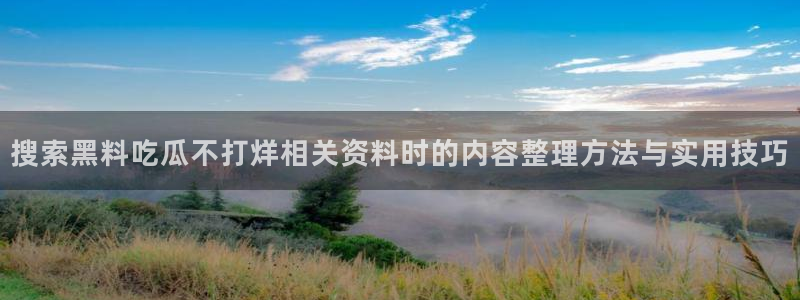 国产黑料吃瓜:搜索黑料吃瓜不打烊相关资料时的内容整理方法与实用技巧