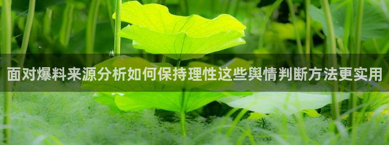 17吃瓜:面对爆料来源分析如何保持理性这些舆情判断方法更实用