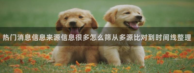 51吃瓜今日黑料：热门消息信息来源信息很多怎么筛从多源比对到时间线整理